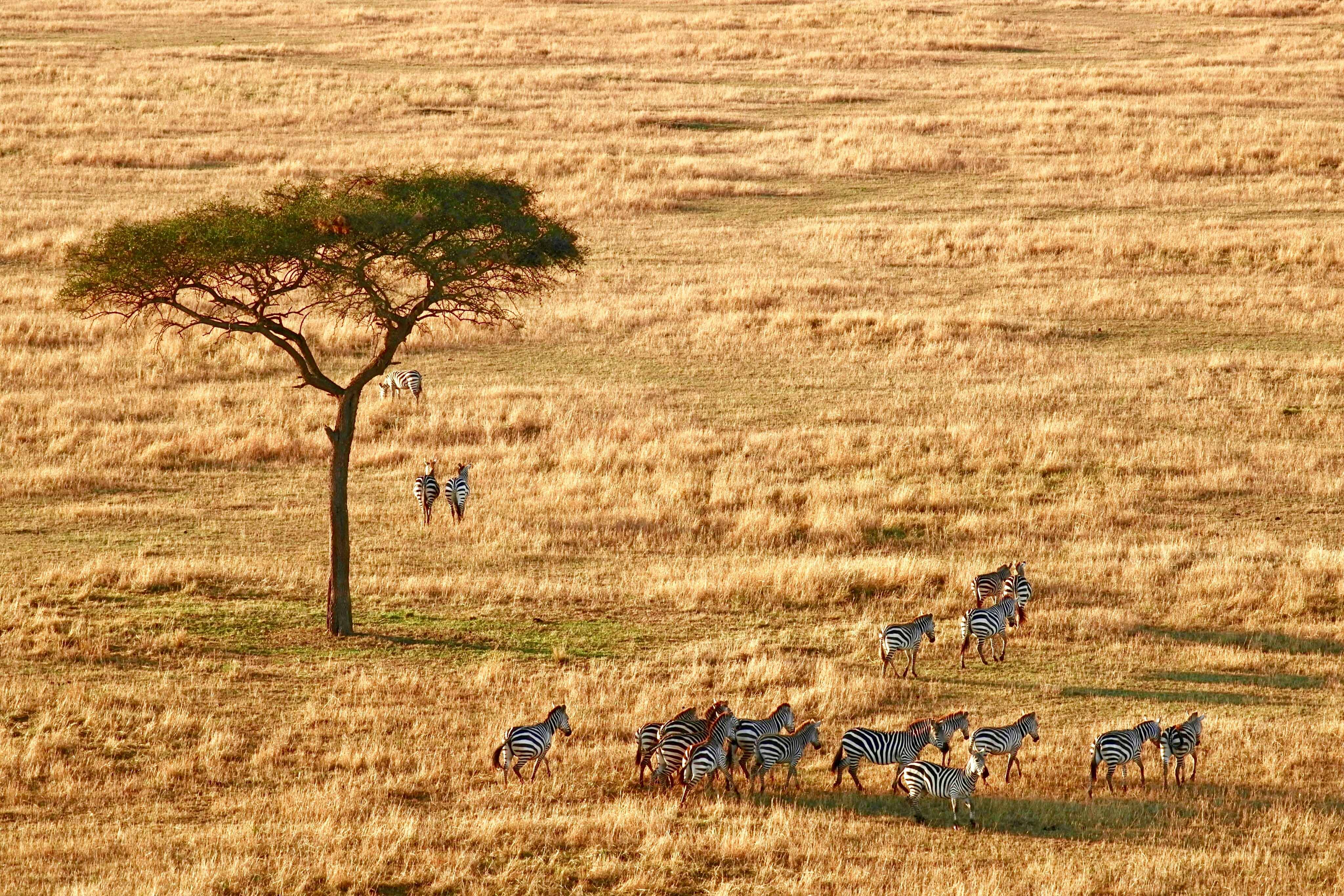 Arusha National Park
