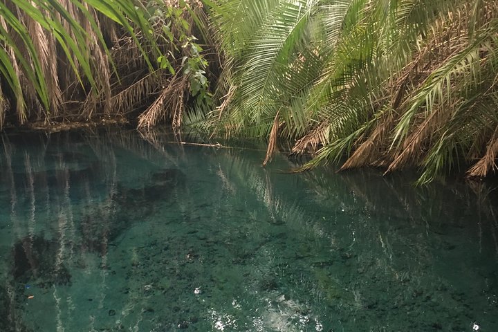 People Swimming in Hot Springs