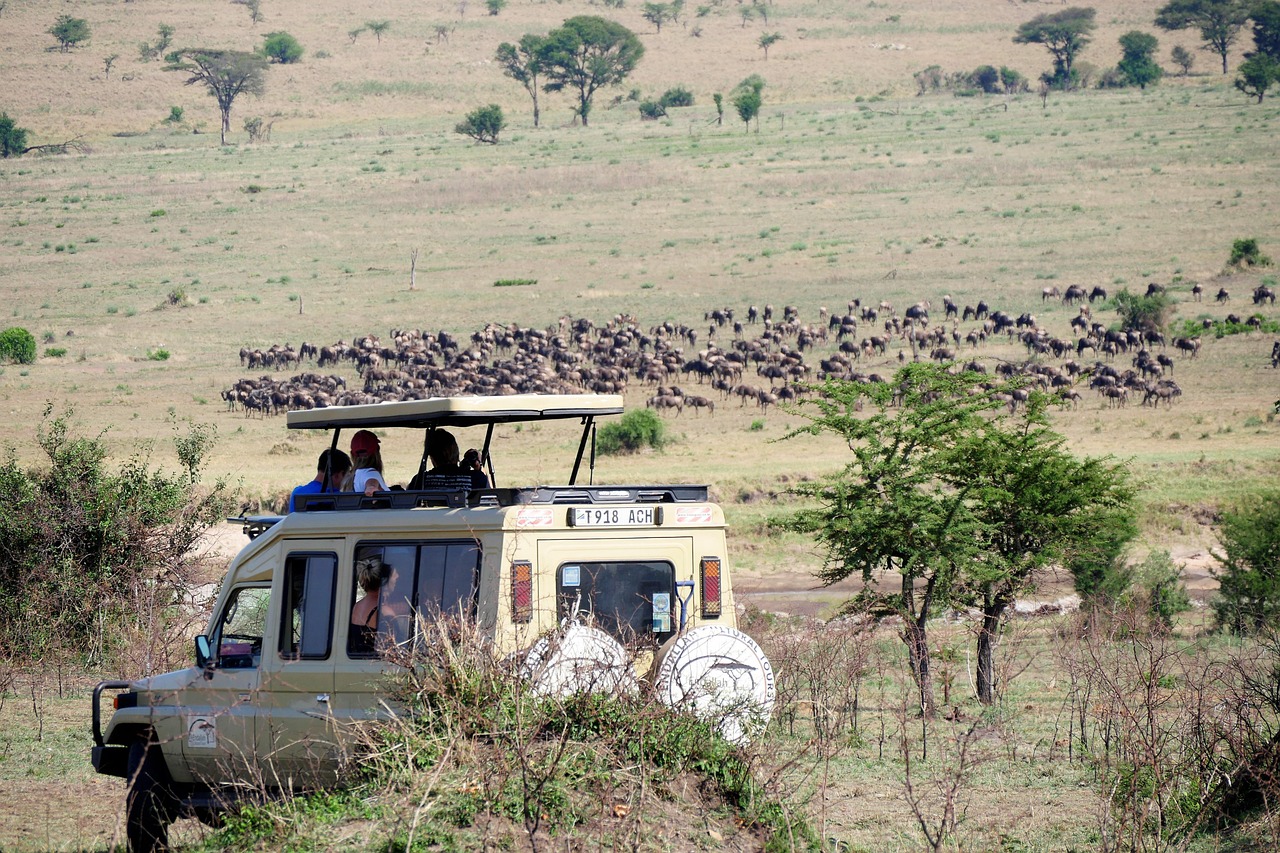 Luxury Safari Vehicle