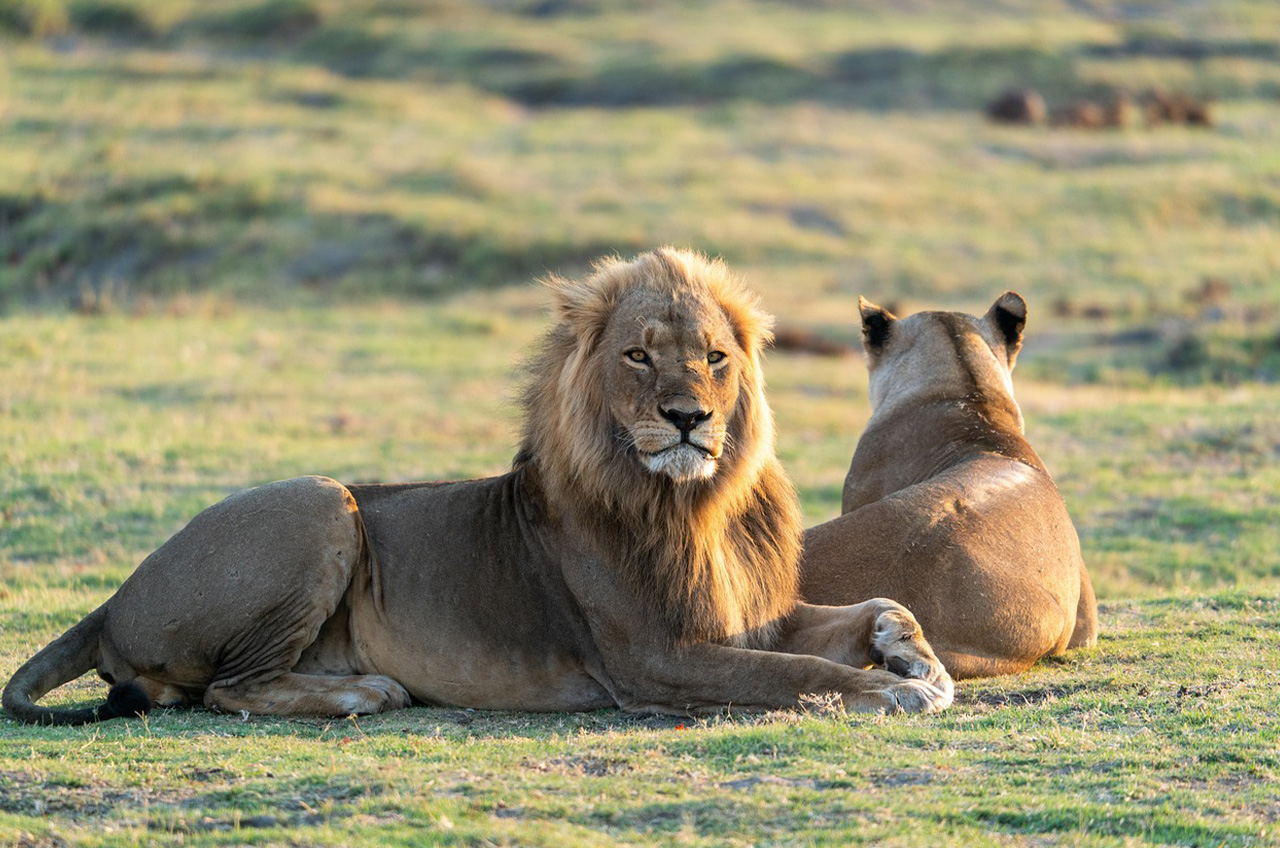 Lake Manyara National Park