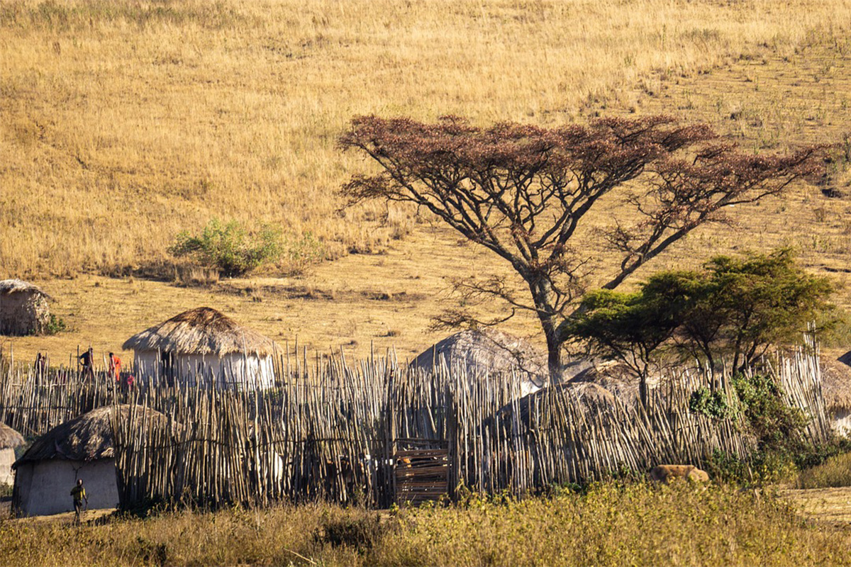 Maasai Village
