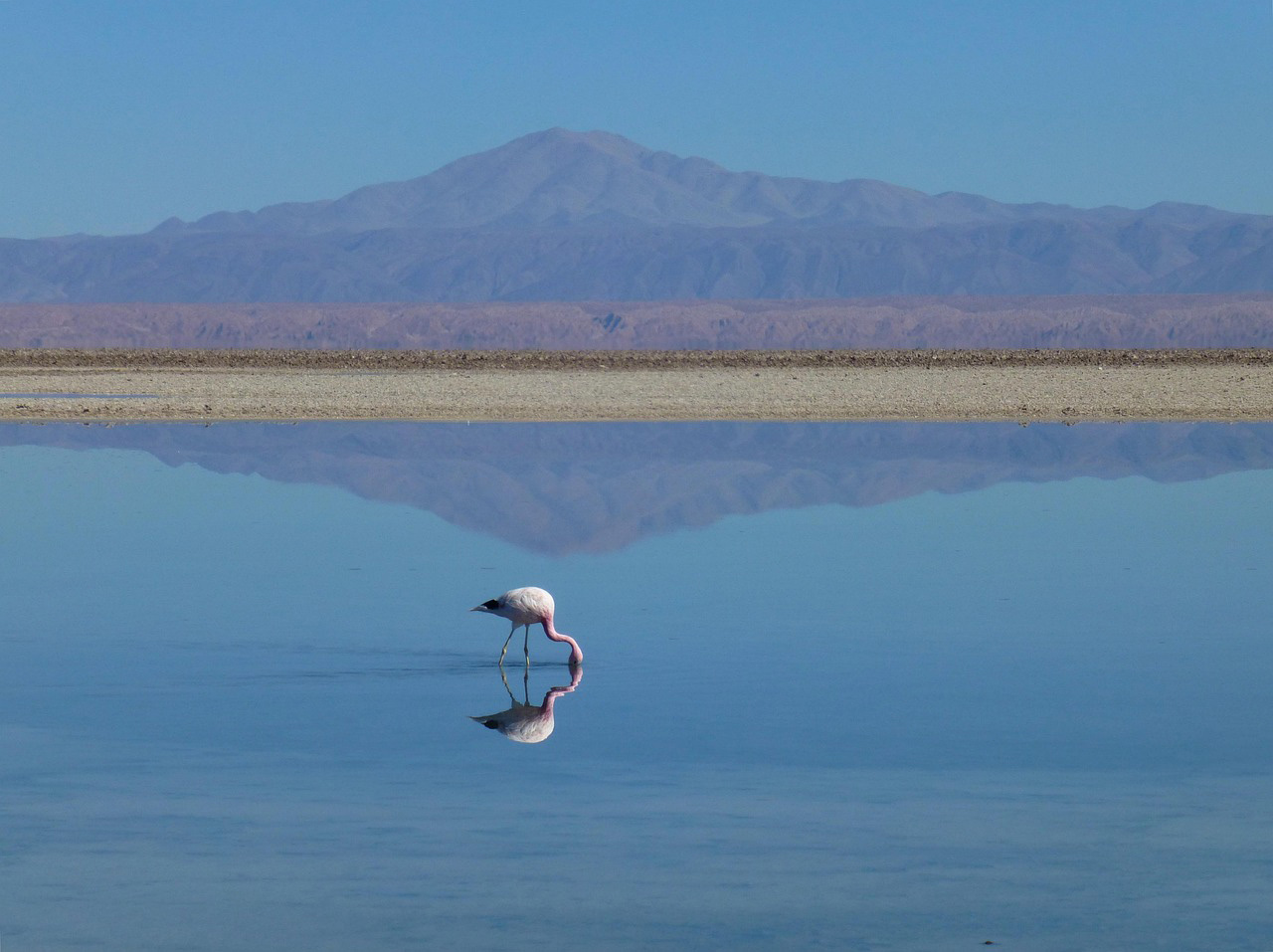 Lake Manyara