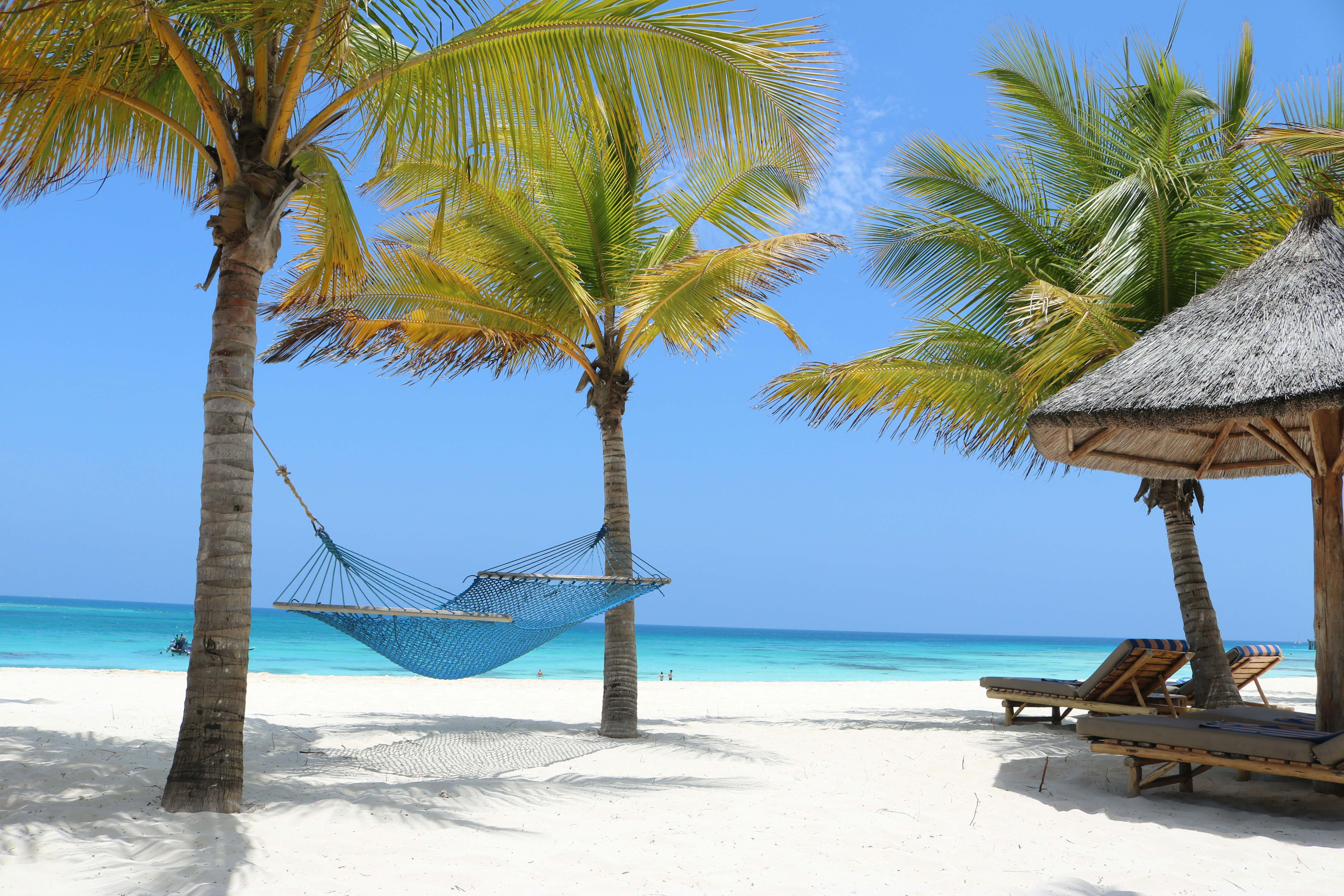 Zanzibar Spice Tour